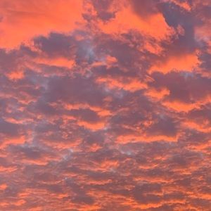 Meet your Posher, Laurie-anne